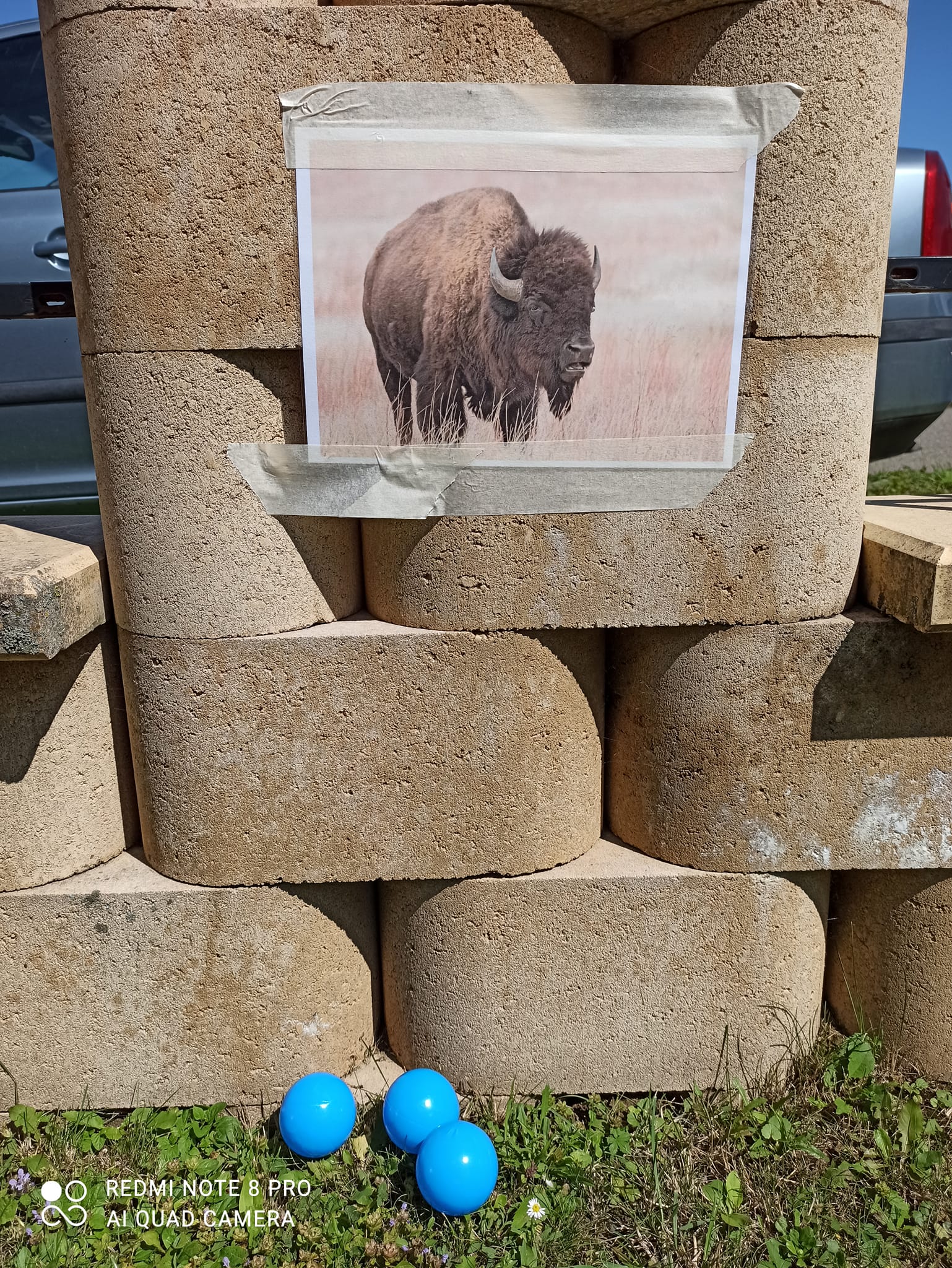 Indiánská bojovka pro děti, ukázka úkolu ulov bizona